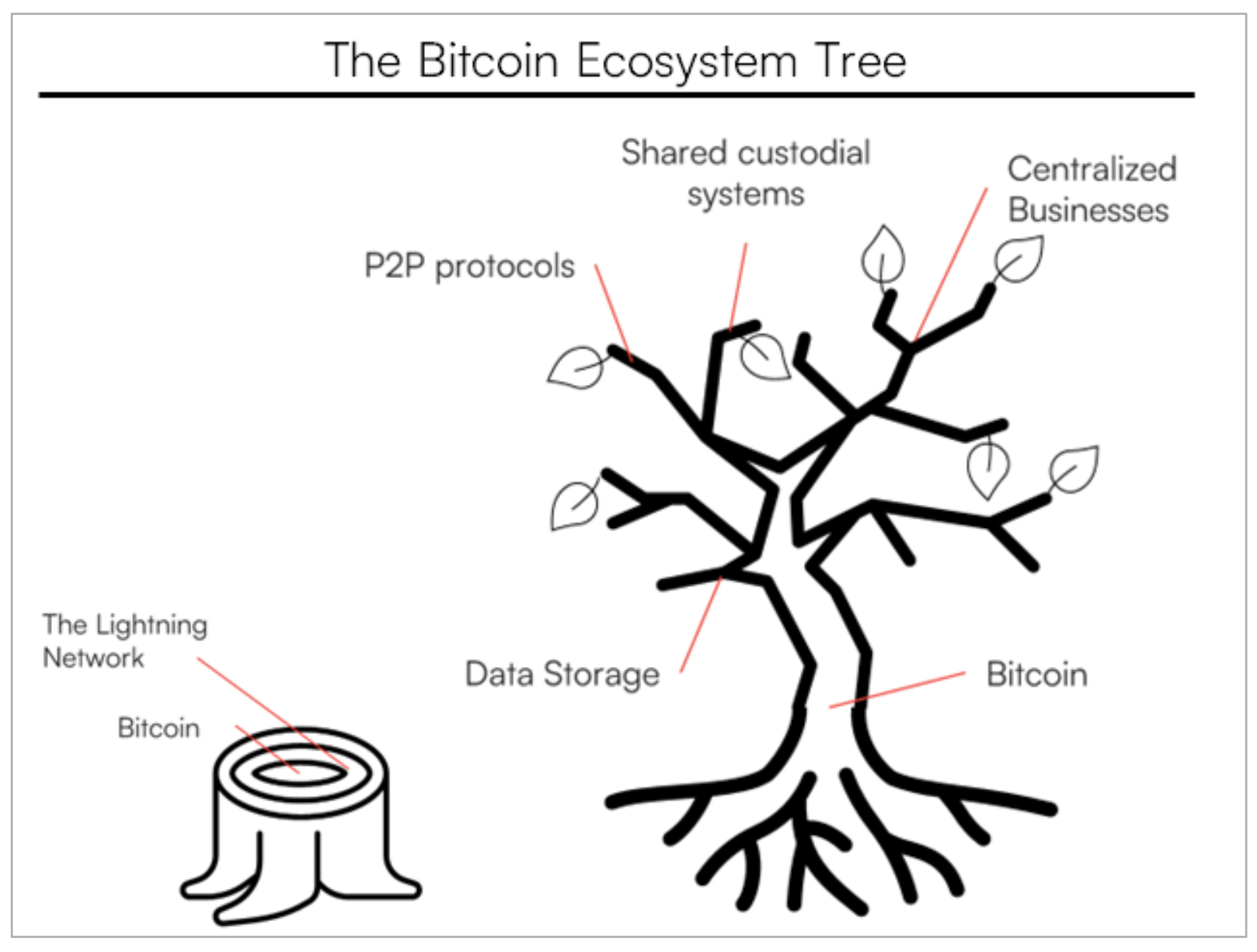 BitDevs-42-Bitcoin-Ecosystem-Report-Tree.png