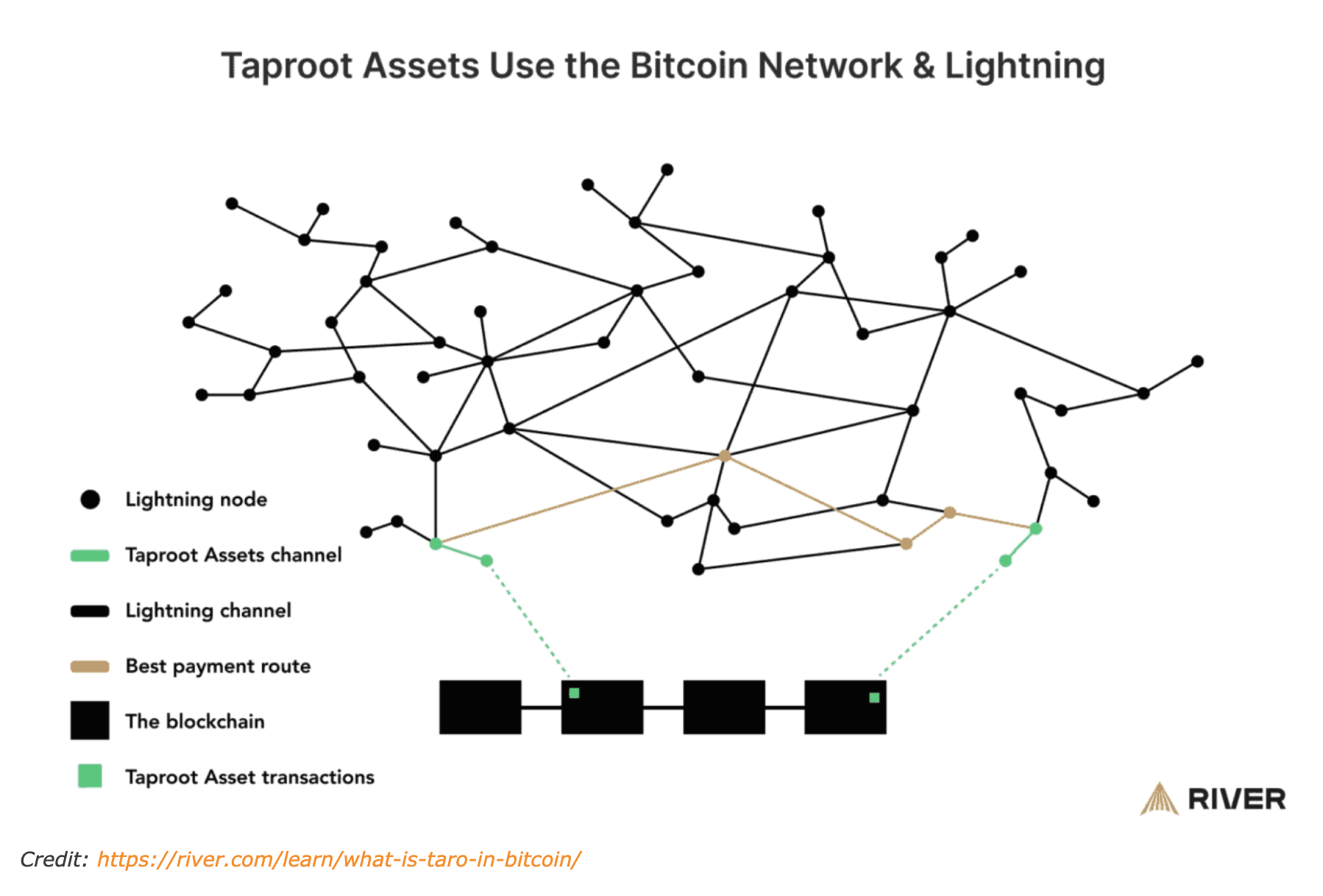 BitDevs-42-Taproot-Assets-River-Diagram.png